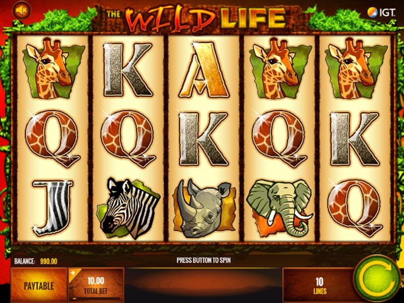 Wild Life Online Slot Review