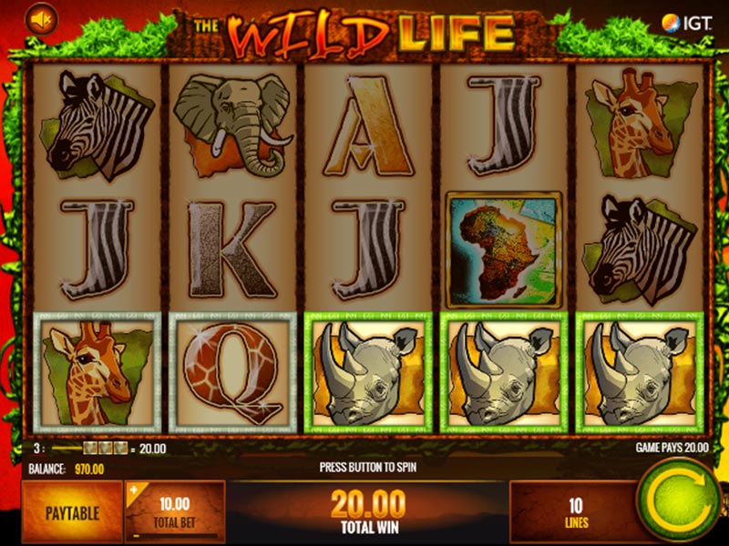 Wild Life Online Slot Review